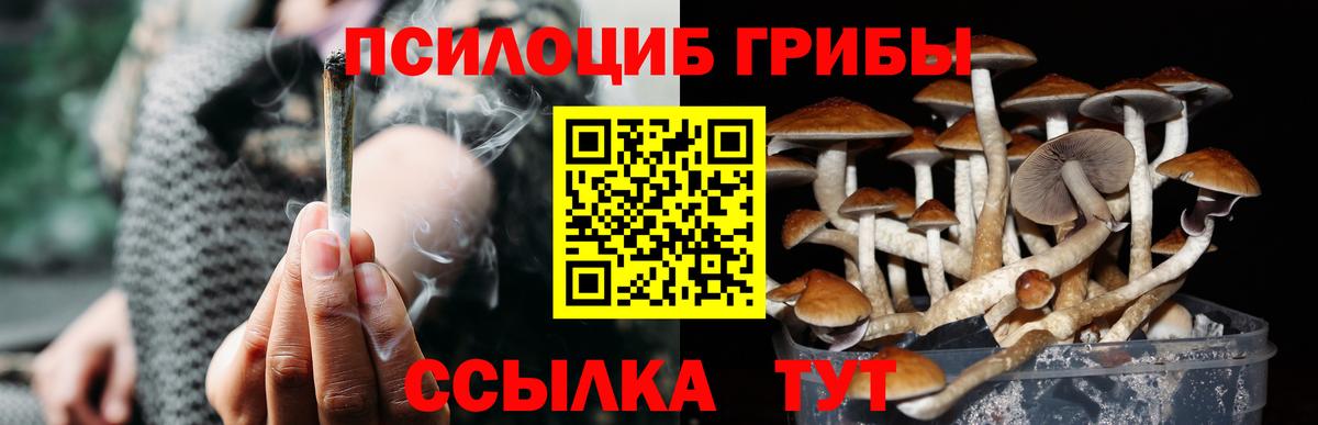 Галлюциногенные грибы Magic Shrooms  Вход с VPN  Братск 